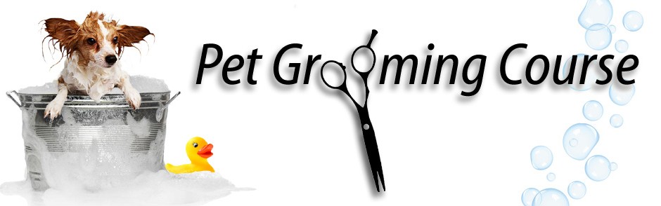 Pet Grooming Banner