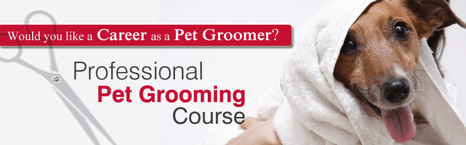 Professional Pet Grooming Course